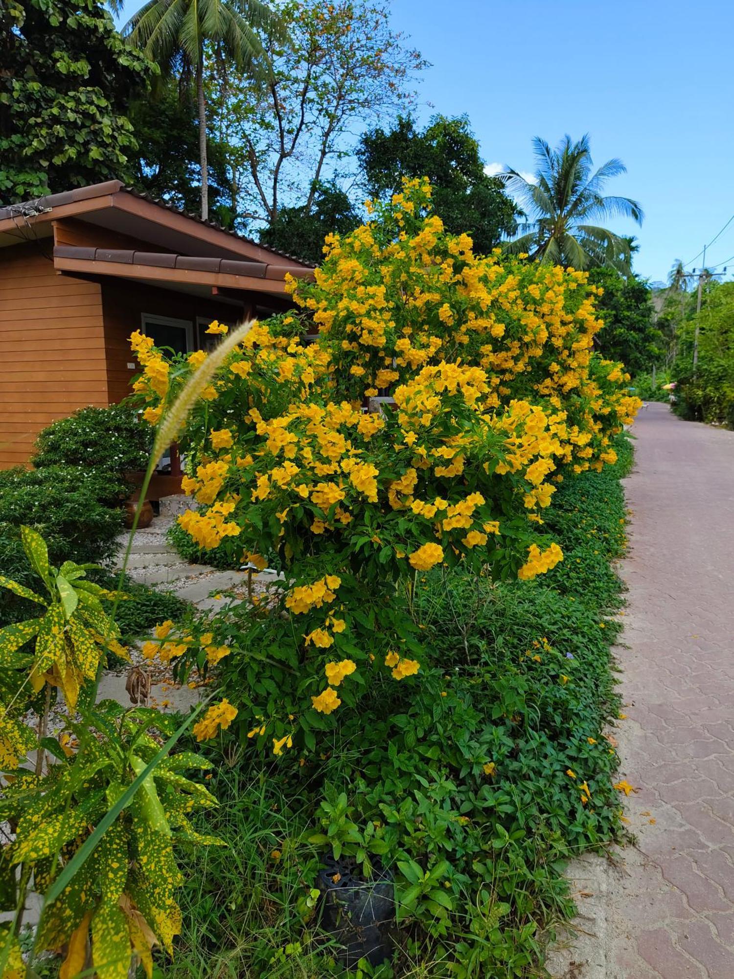 Mook Paradise Bungalow Ko Muk Extérieur photo